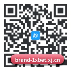 iOS 苹果生态原生版 二维码